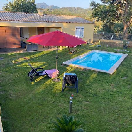 Appartement Agreable Rez De Jardin Avec Piscine Et Jacuzzi à Cervione Extérieur photo