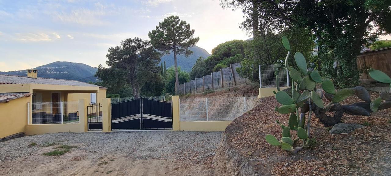 Appartement Agreable Rez De Jardin Avec Piscine Et Jacuzzi à Cervione Extérieur photo