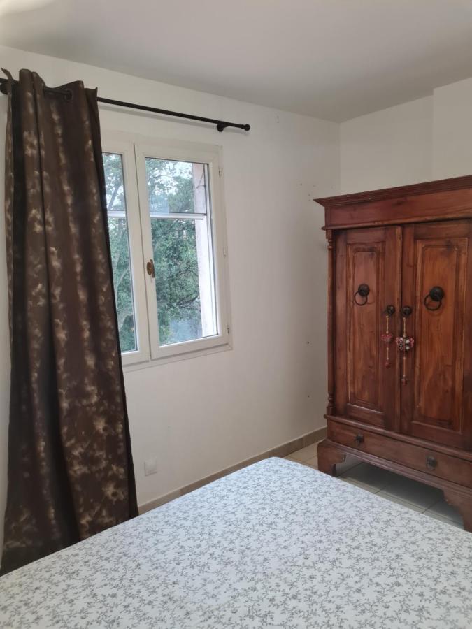 Appartement Agreable Rez De Jardin Avec Piscine Et Jacuzzi à Cervione Extérieur photo